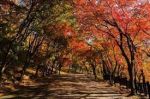 Autunno con te