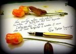 Dolcemente ti dir�