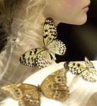 Goccia d�amore