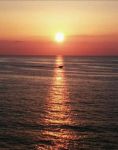 L�Amore vuole Amore
