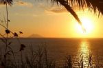 Oro nell�anima