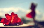 Sul cielo dell�eternit�