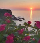 Pittrice dell�Amore