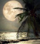Luna d�Amore