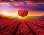 Respiro d�amore