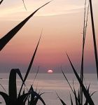 Poesia nell�anima