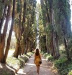Cicale d�eternit�