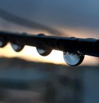 Fragor d�Amore