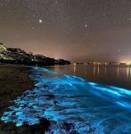 Su letto d�Alma