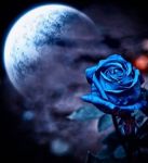 Cuore di Luna