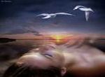 Sogno d�amore