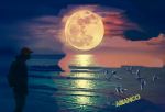 Risuoner� il tuo nome