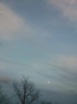 Il sorriso della luna