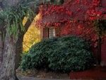 Sembra d'autunno