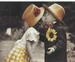 La luce dell'amore  