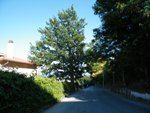 Il vento dell'estate  