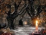 La notte d�amore