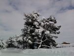 Nevicata  
