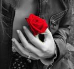 Primavera nel cuore