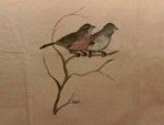 Gli uccelli