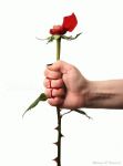 Una rima che non c'�