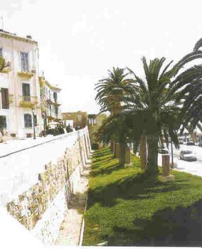 Barivecchia