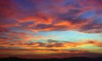 Colori