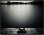 Tristesse