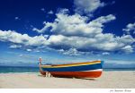 E l'inverno viene gi�