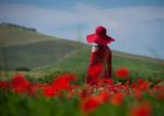 La bellezza dell�amore