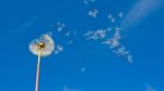 L�eco del tuo respiro