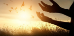 Canto della Libert�