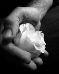 Poesia d�amore