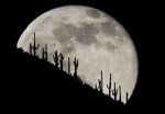 C�era pace sotto quella luna