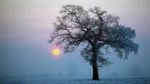 Chi chiama l�inverno?
