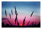 All'alba (a te che dormi)