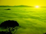 Crepuscoli di nebbia