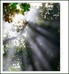 Voglia di luce