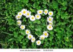Tu mi fai respirare la vita