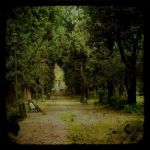 Giardino segreto