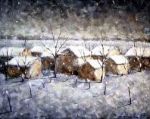 Neve