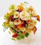 Collante d’amore