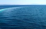 Amo il mare