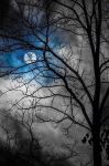 Scintille d'amore