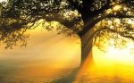 Ti sorride il sole