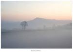 Nebbia