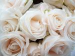 Un eterno abbraccio d�amore