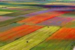 La terra che di color s�ammanta