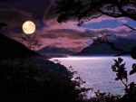 Luna d'Estate