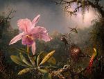 Libert� d'amare [e non]
